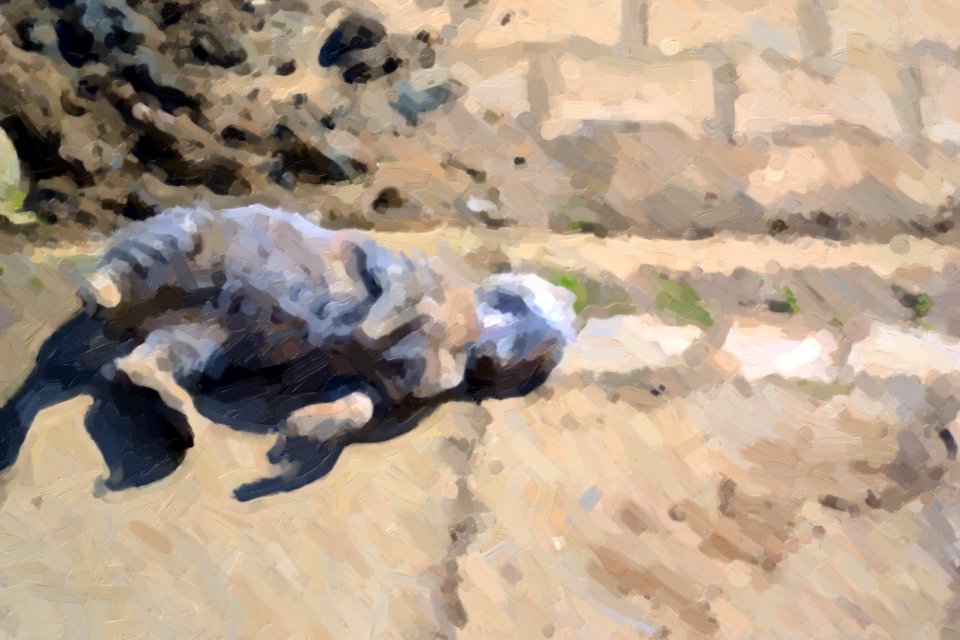 Paintings
