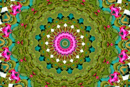 Untitled17