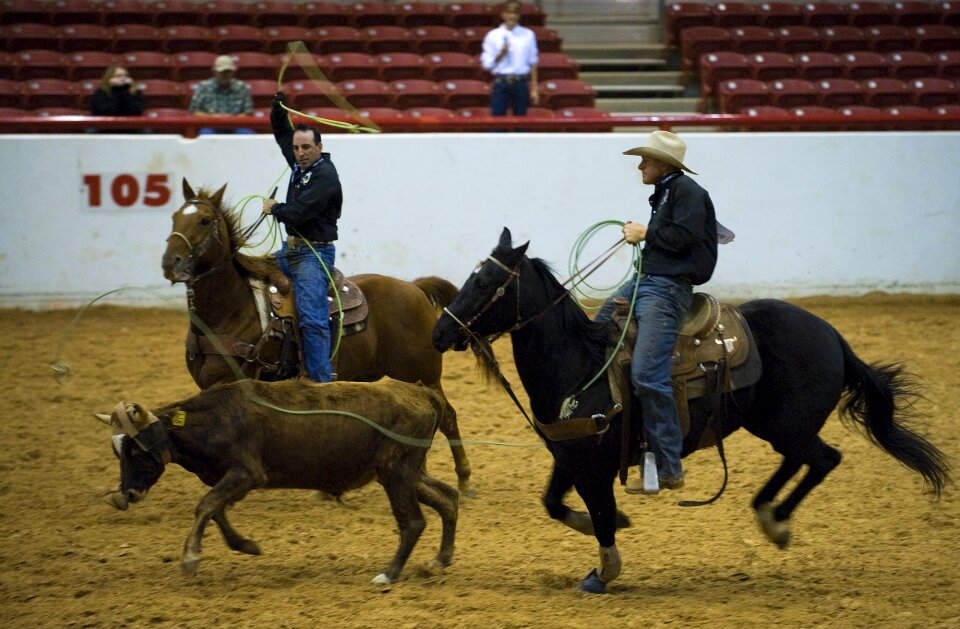 Competition cowboy western
