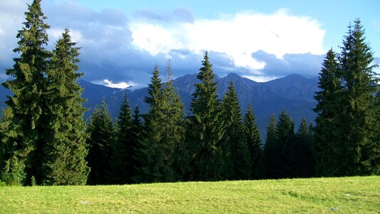 Landscape polish tatras top