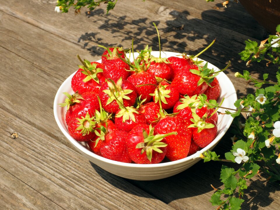Food sweet fresh