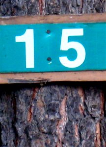 Street Address in Strawnerry, AZ