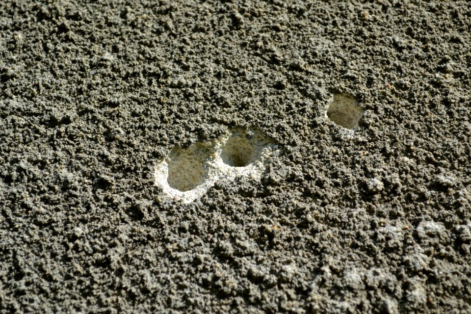 plaster