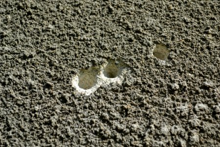 plaster