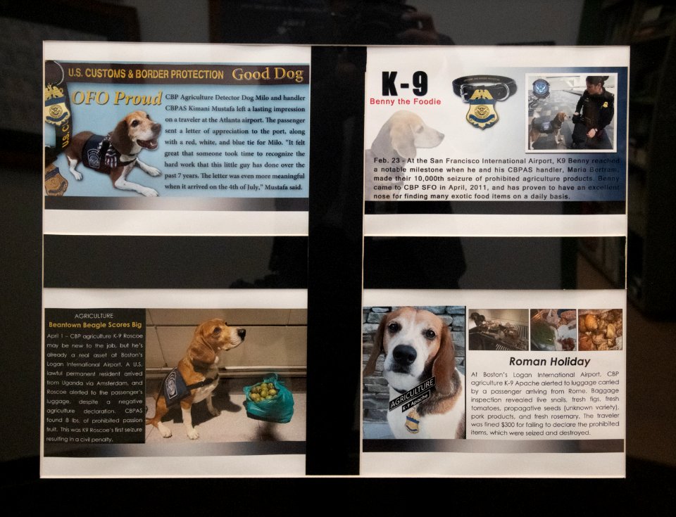 20190405-OSEC-LSC-0155