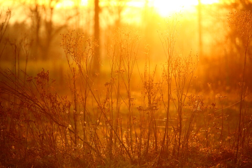 Light abendstimmung autumn