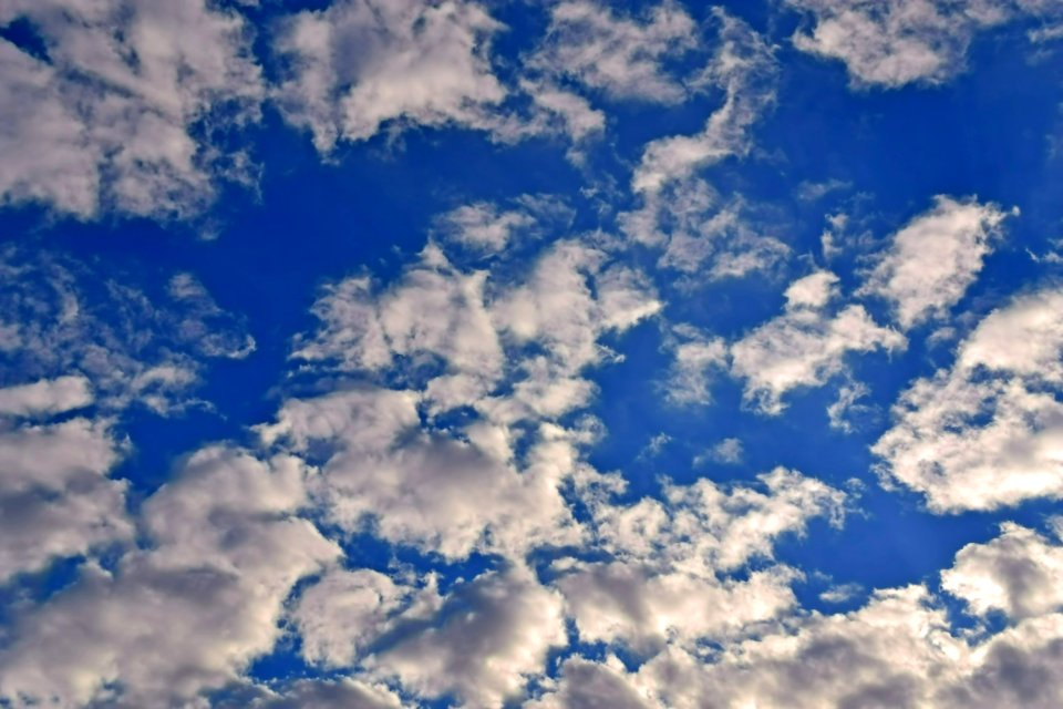 DSC 0005