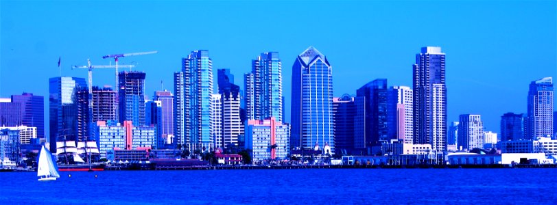 San Diego Blued photo