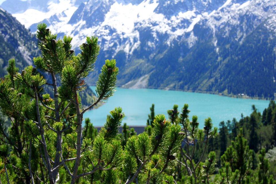 Alpine nature reservoir