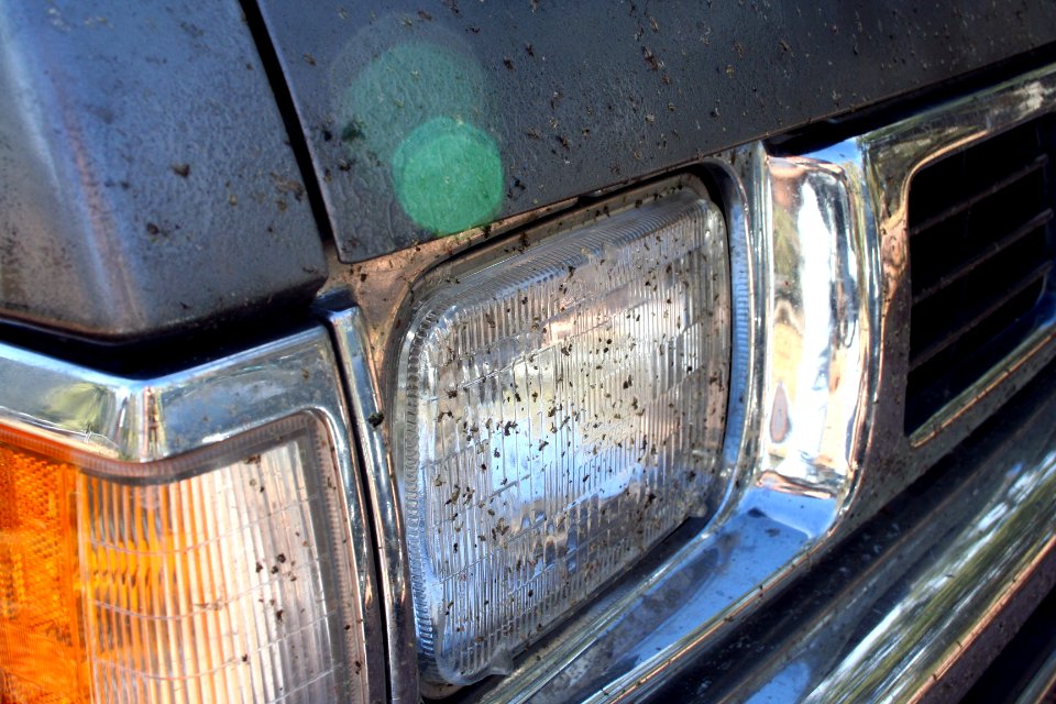 Wash me