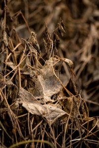 20180924-OSEC-LSC-1082