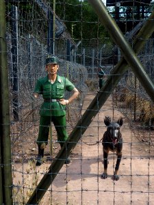 Coconut prison guards photo