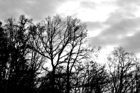 black and white