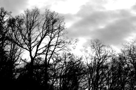 black and white