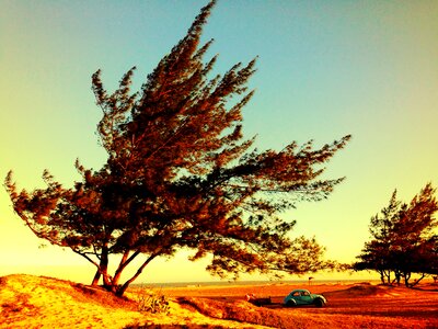 Road nature summer