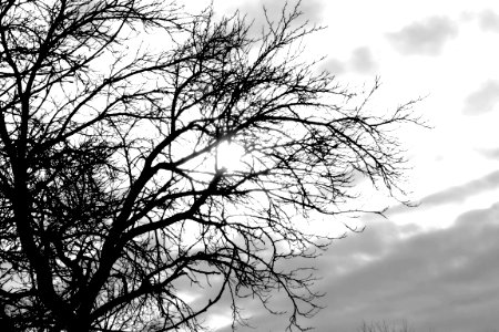 black and white