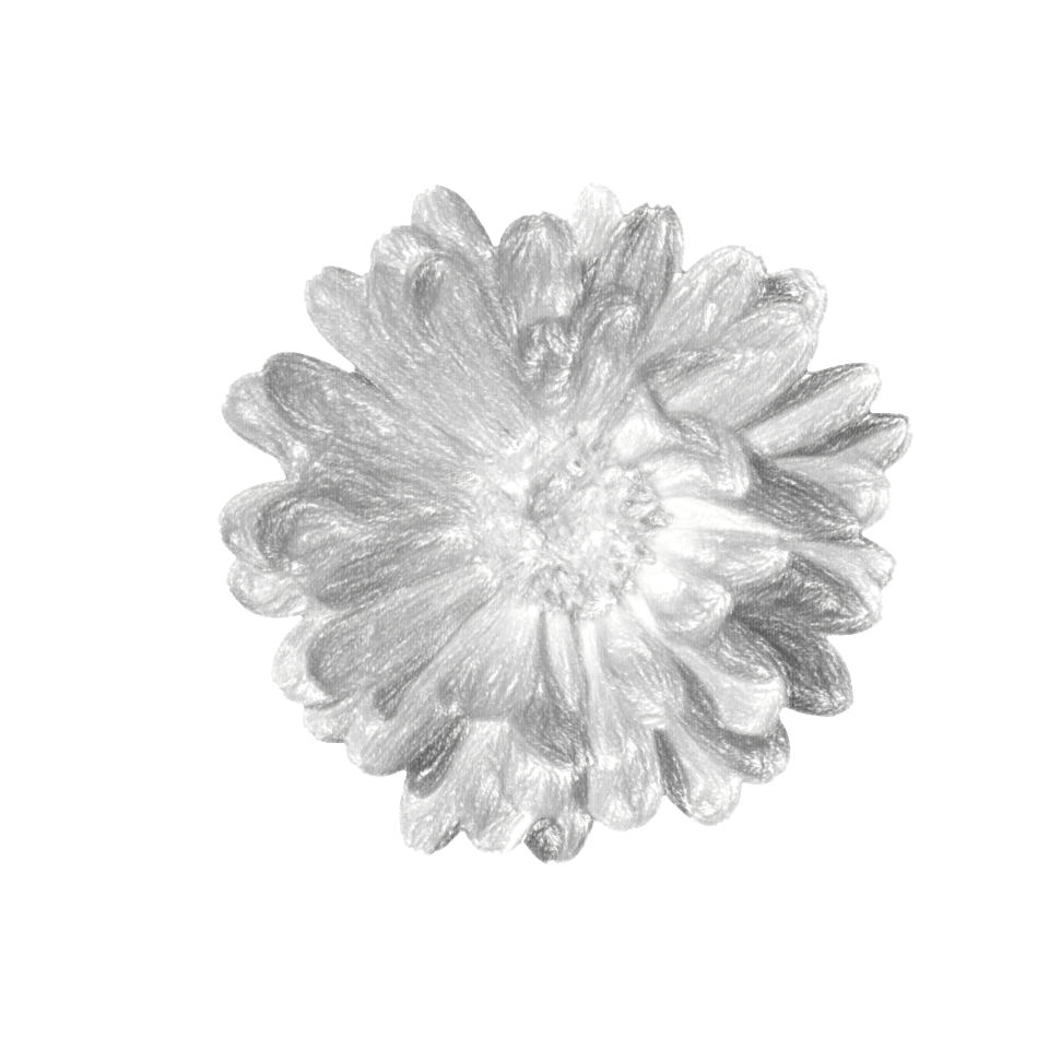 crayon