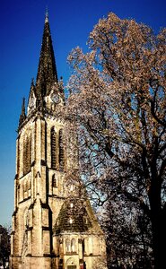 Kassel tower tree photo