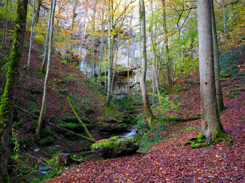 Baden württemberg swabian alb grave stetten