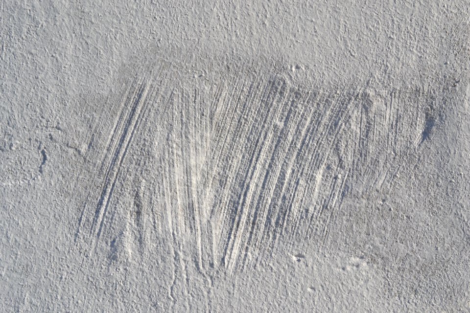 wall