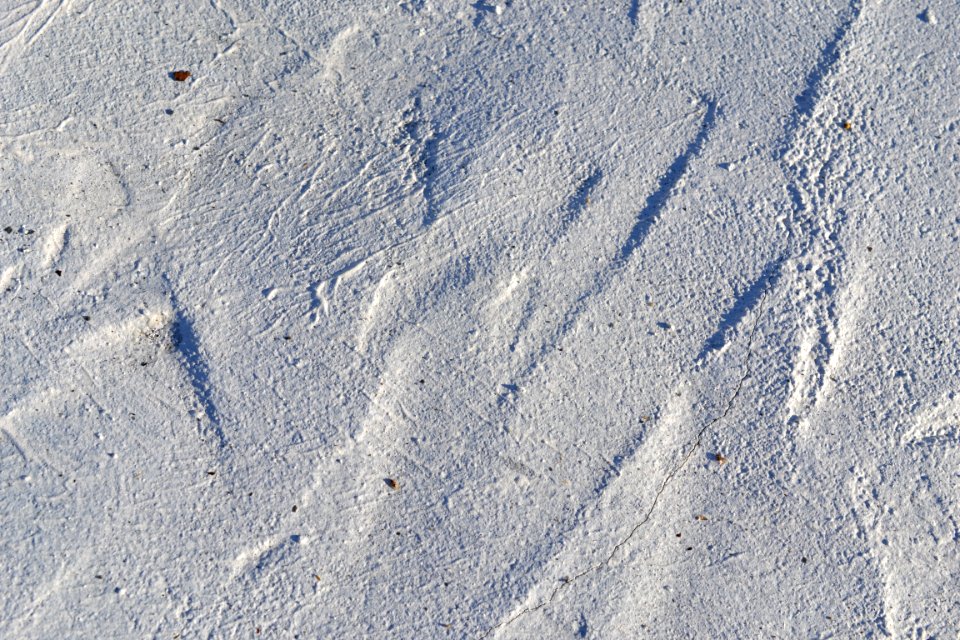 wall