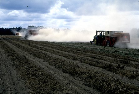 01cs1833