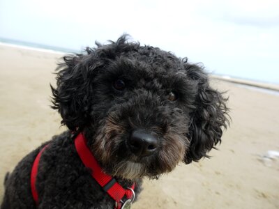Sea beach portrait