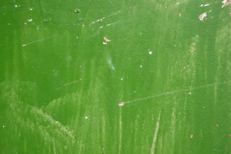 Green paint