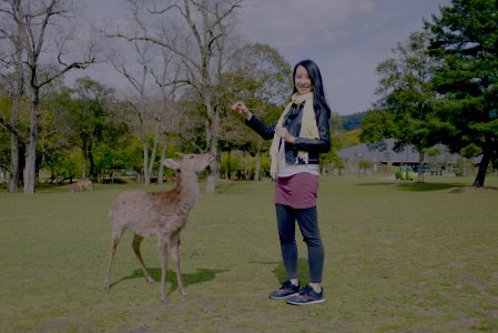 日本京都行
