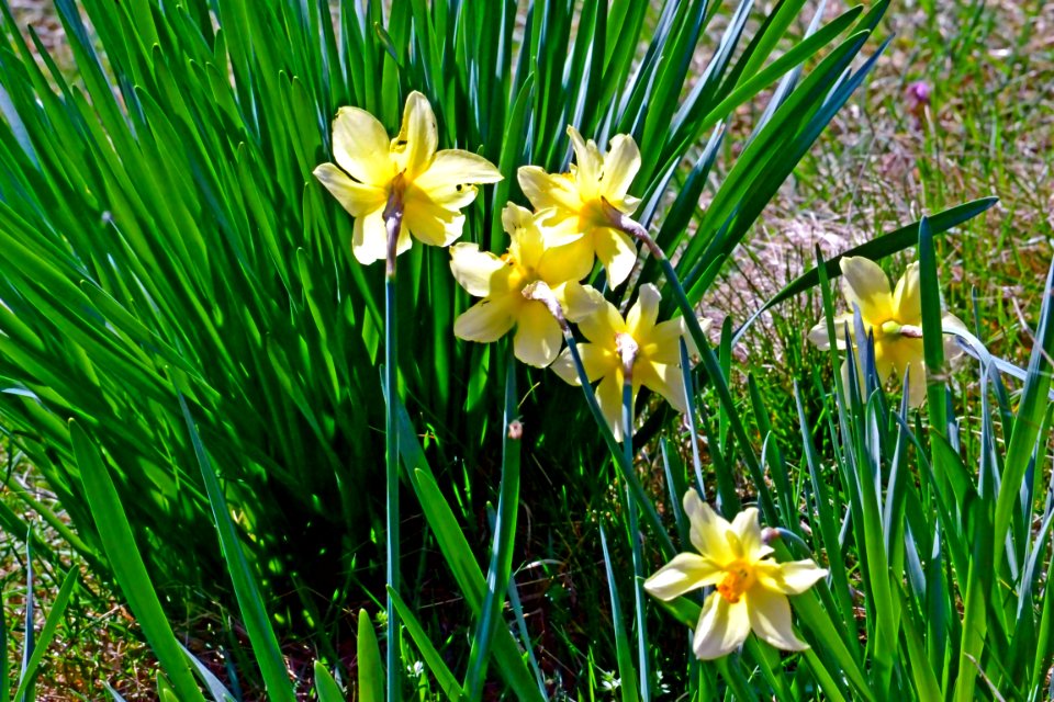 Spring 2014