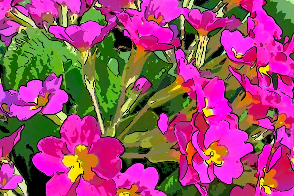 stylize