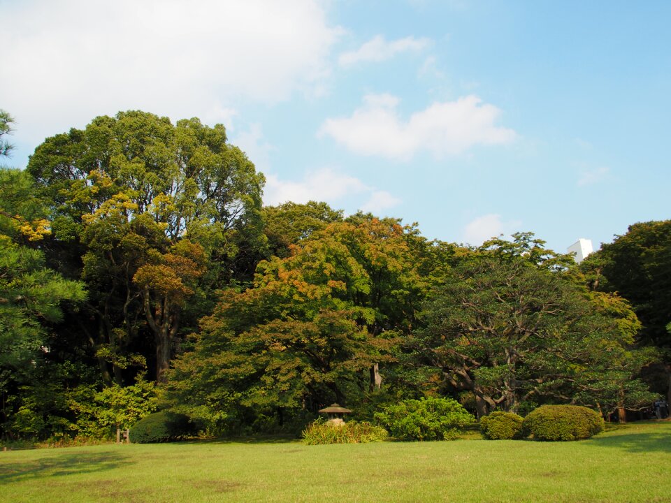 Early autumn sky japan