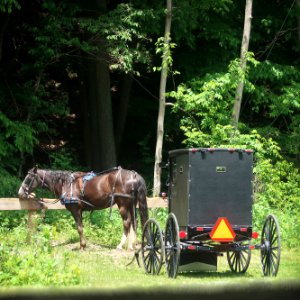 Amish buggy parked in Penn Yan, New York photo
