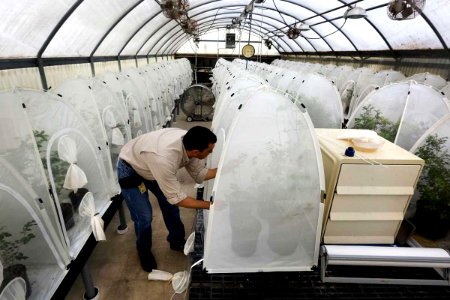 20200203-APHIS-USDA-0004