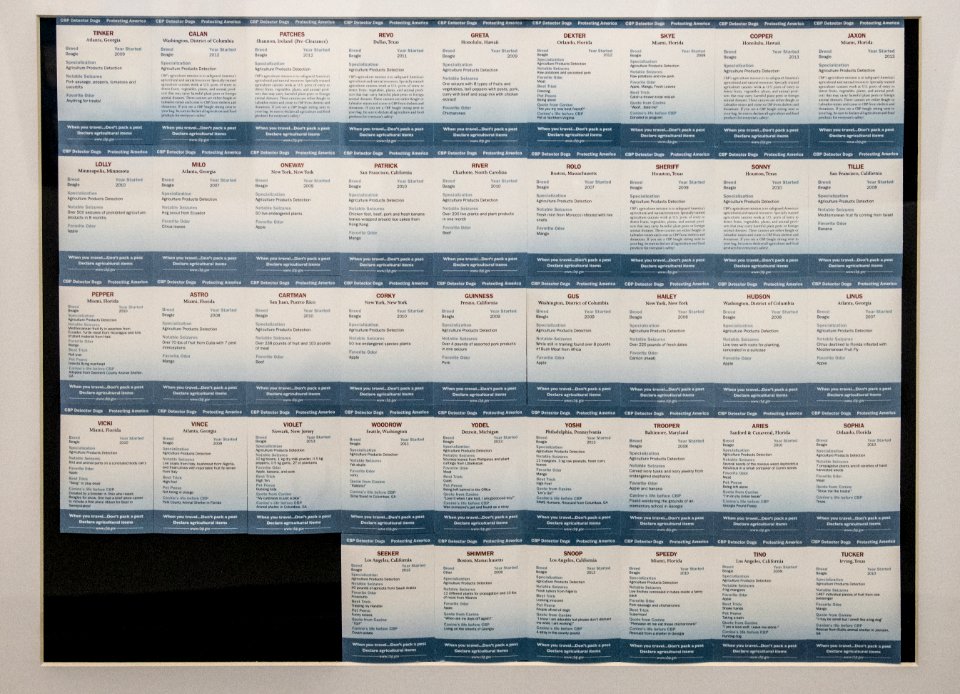 20190405-OSEC-LSC-0161