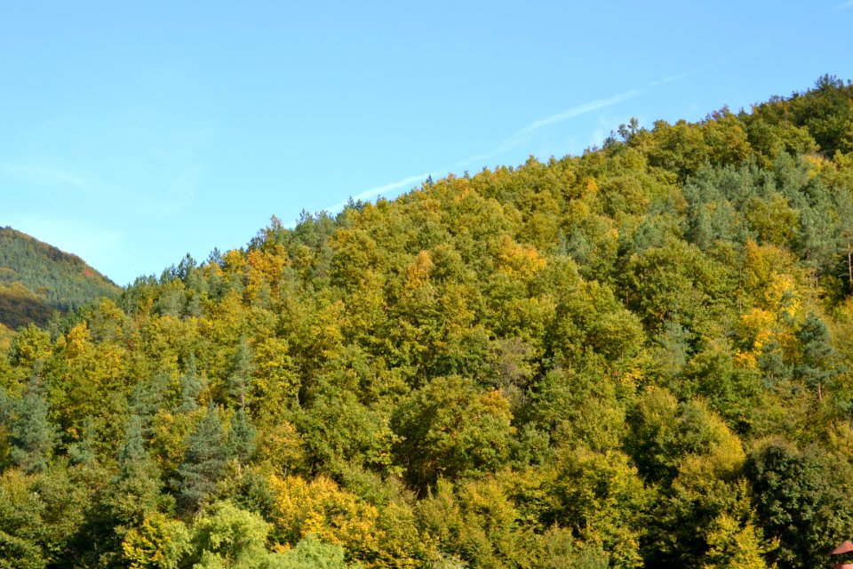 Nature