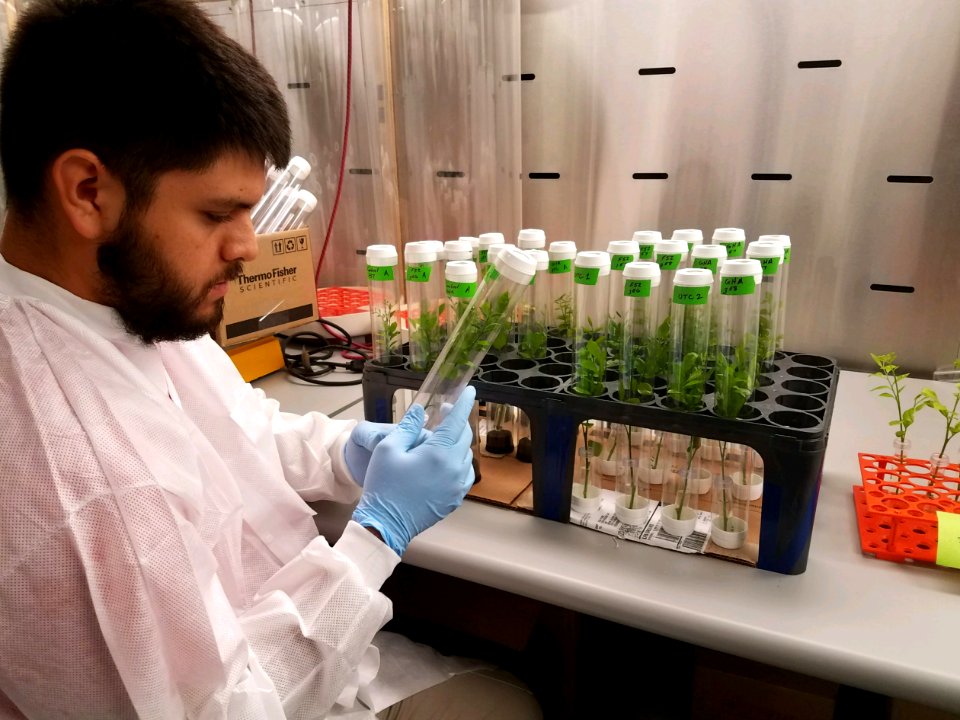20200203-APHIS-USDA-0002