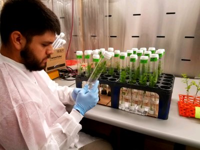 20200203-APHIS-USDA-0002