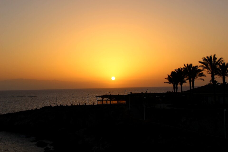 Sea palm trees evening sky photo