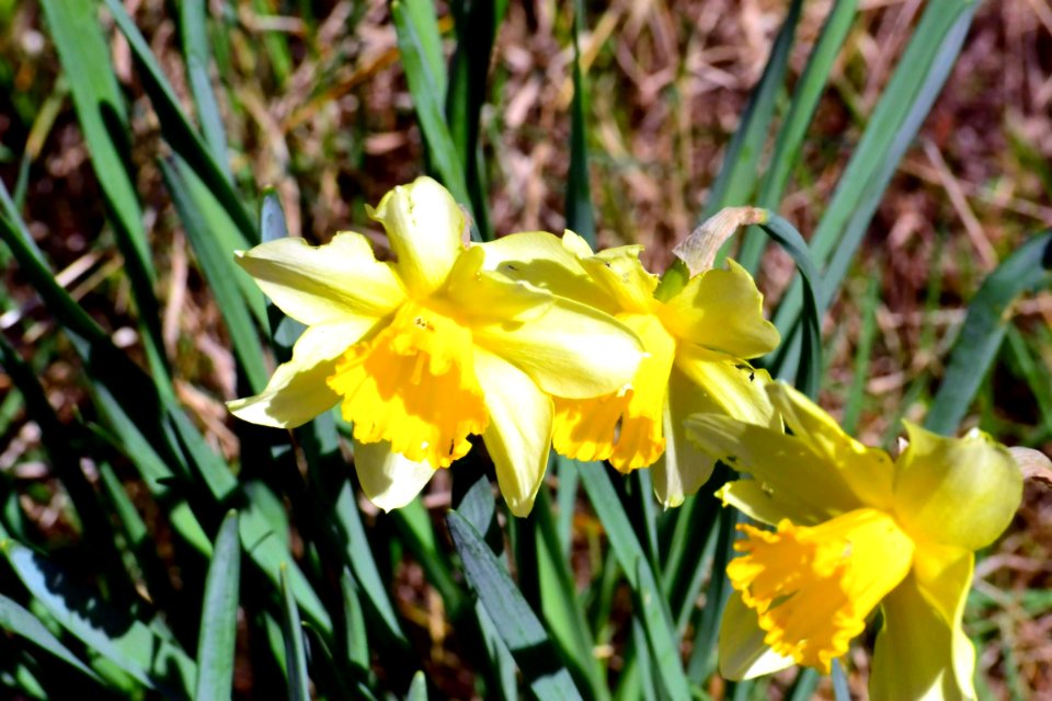 Spring 2014