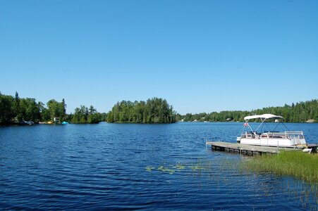 Dock forest summer
