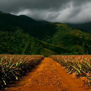 Landscape stormy sky countryside