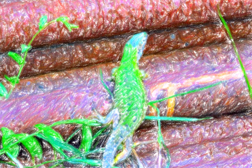 DSC 0151 wax crayon