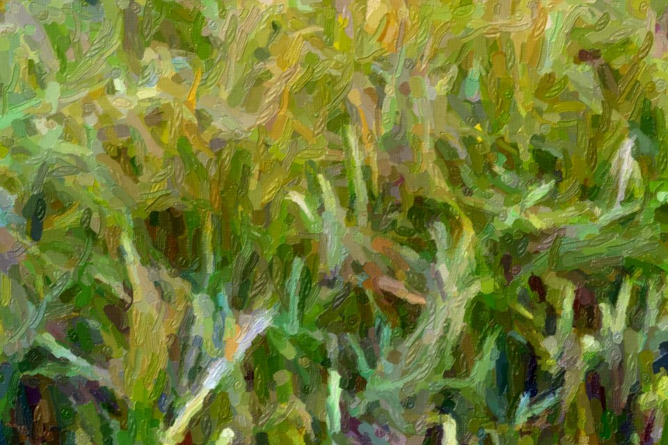 DSC 0039impasto-abstract