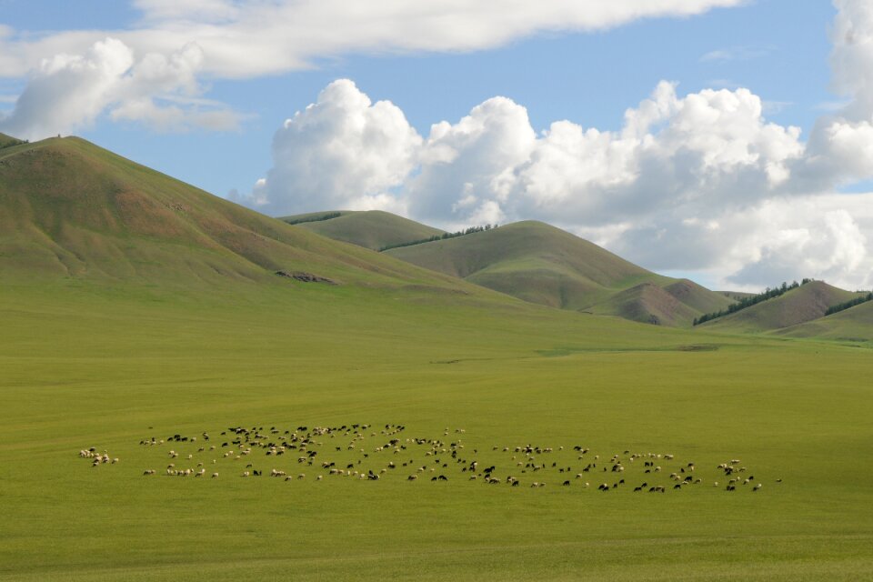 Steppe clouds nomadic life photo