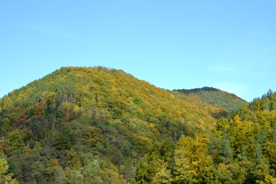 Nature