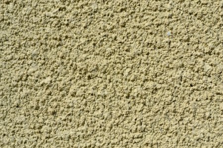 plaster