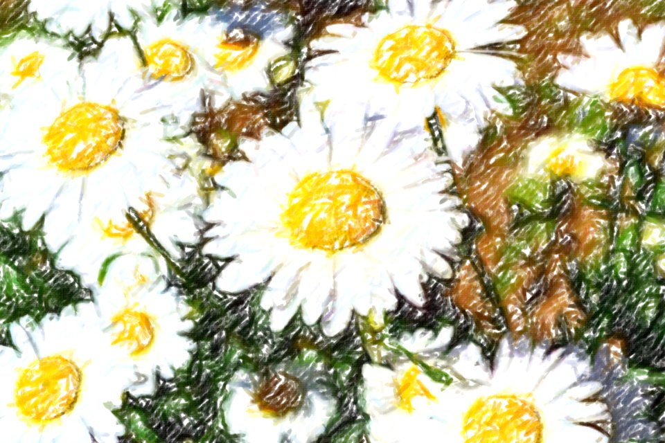 flowers (80)-crayon