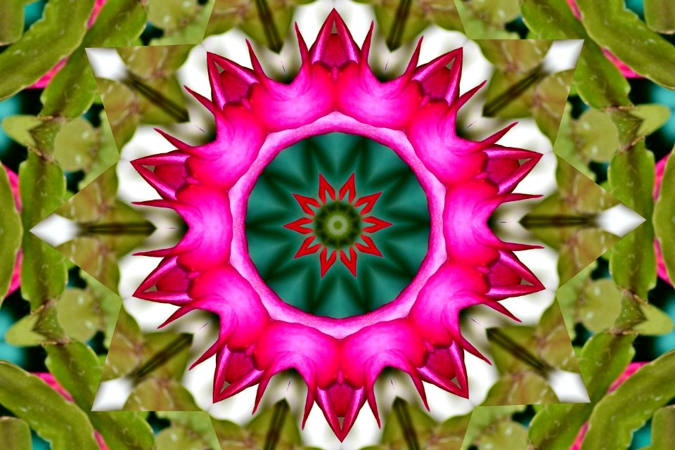 Untitled14