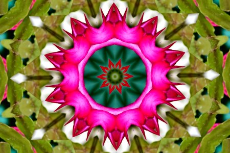 Untitled14